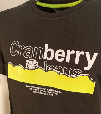 MEN'S TSHIRT M/S CB631017 Tellini S.r.l. Wholesale Clothing